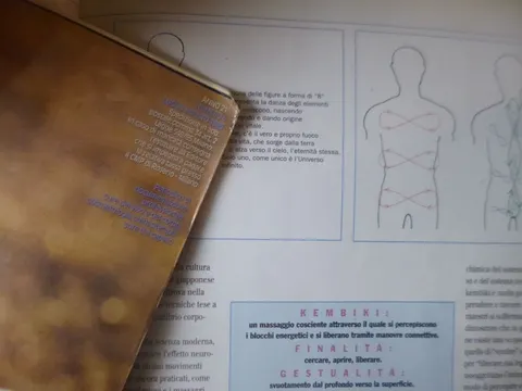 kembiki nota lne