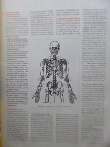 Italia Nota il kimbiki do e le ossa alla luce della fisica quantica