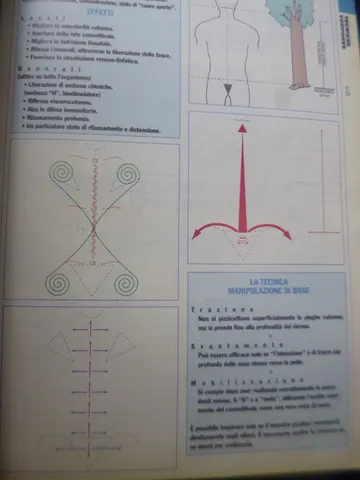 kembiki nota lne